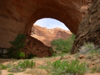 The First Arch